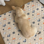 Puppy Pad