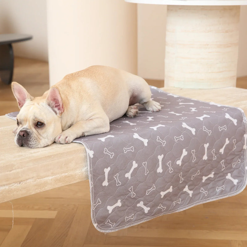 Puppy Pad