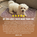 DoggyFul Puppy Pad Home